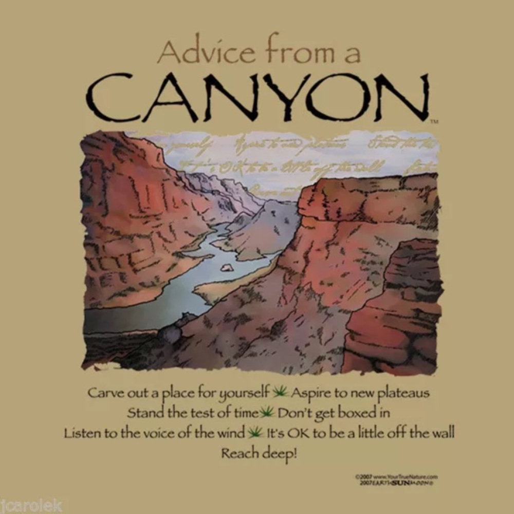 ADVICE FROM A CANYON T-shirt Unisex Sizes